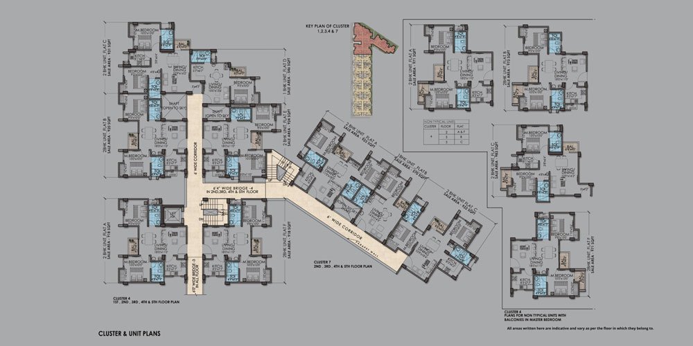 Cluster & Unit Plans
