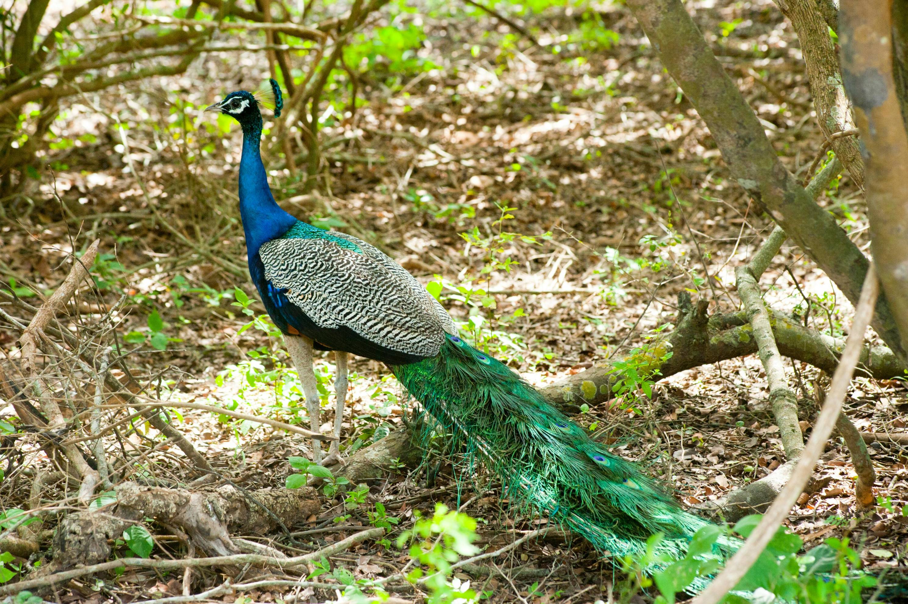 top 5 must visit places in Cooch Behar